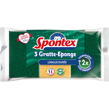 Gratte éponge longue durée SPONTEX X3