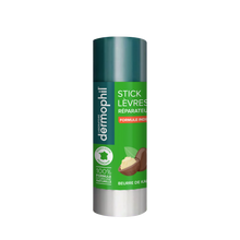 Stick pour les lèvres phyto reparateur protecteur formule indienne DERMOPHIL, x2