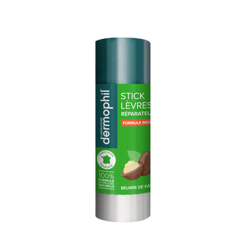 Stick pour les lèvres phyto reparateur protecteur formule indienne DERMOPHIL, x2