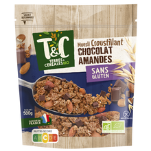 Müesli croustillant chocolat amandes sans gluten bio TERRES & CEREALES500g