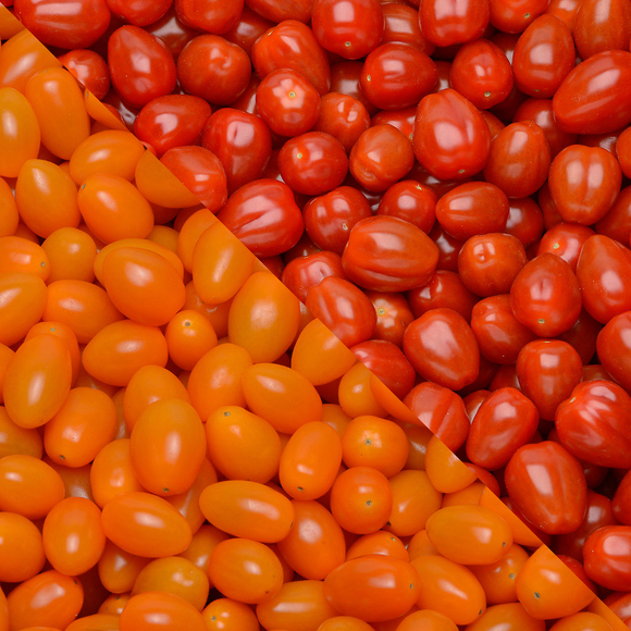 Tomate cerise orange et rouge - Catégorie Extra - Barquette 250g