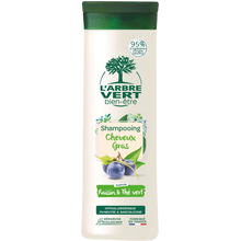 Shampooing detox cheveux gras L'ARBRE VERT 250ml