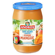 Dessert fruitier sans sucres ajoutés pomme mangue ANDROS bocal 650g