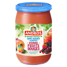 Dessert fruitier sans sucres ajoutés pomme fruits rouges ANDROS bocalde 650g