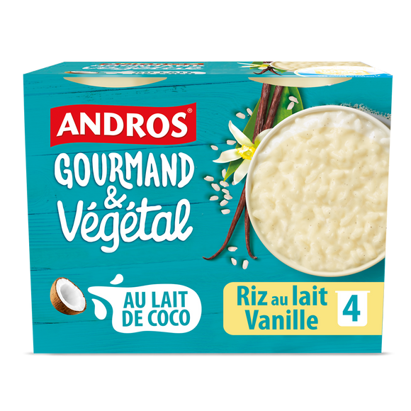 Riz au lait vanille végétal ANDROS GOURMAND & VEGETAL 4x100g