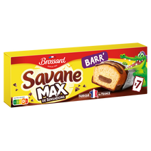 Gâteau SAVANE Max Barr' Pocket BROSSARD, x7, 210g
