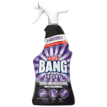 Nettoyant surpuissant anti-moisissures CILLIT BANG pistolet 750ml