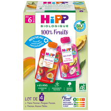 Gourdes 100% fruits 2 mangues passion 2 ananas pêches bio dés 6 moisHIPP 4x90g