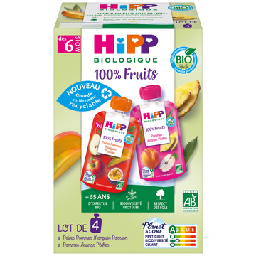Gourdes 100% fruits 2 mangues passion 2 ananas pêches bio dés 6 moisHIPP 4x90g