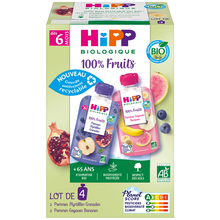Gourdes 100% fruits 2 pommes myrtilles grenades 2 pommes goyaves biodés 6 mois HIPP 4x90g