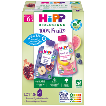 Gourdes 100% fruits 2 pommes myrtilles grenades 2 pommes goyaves biodés 6 mois HIPP 4x90g