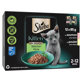 Sachets fraîcheur chaton au saumon et au poulet en sauce SHEBA - 12x85g