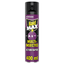 Aéro multi insectes RAID MAX TP18 400ML