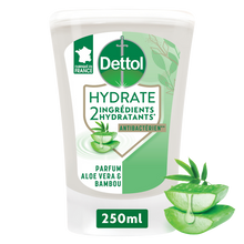 Recharge Savon Liquide Mains Aloe Vera Antibactérien - DETTOL - 250ml