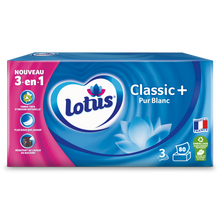 Mouchoirs Classic+ Pur Blanc Family Pack LOTUS, boite x80