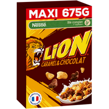 Céréales LION Nestlé, paquet 675g