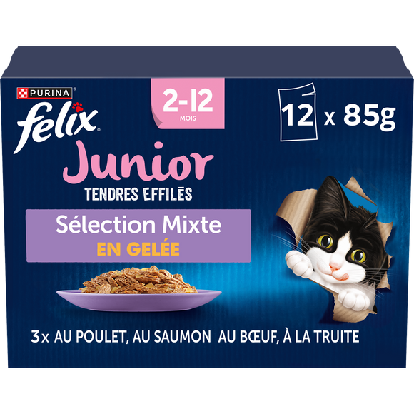 Tendres Effilés Junior au Boeuf, au Poulet, au Saumon, à la Truite enGelée, pour chat, PURINA sachets de 85g