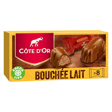 Bouchées chocolat lait noisetes amandes COTE D'OR - Boîte de 200g