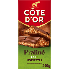 Chocolat au lait épais fourré double noisettes COTE D'OR, tablette 200g