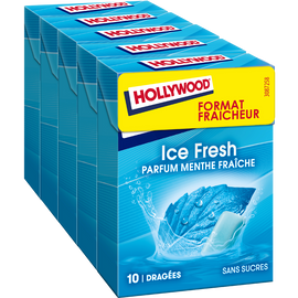 Chewing-gum  ice fresh sans sucres HOLLYWOOD, x5