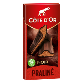 Chocolat noir fourré au praliné noisettes COTE D'OR - Tablette de 200g