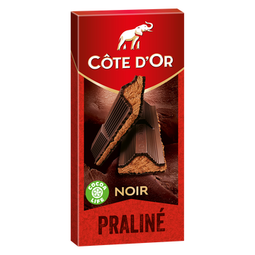 Chocolat noir fourré au praliné noisettes COTE D'OR - Tablette de 200g