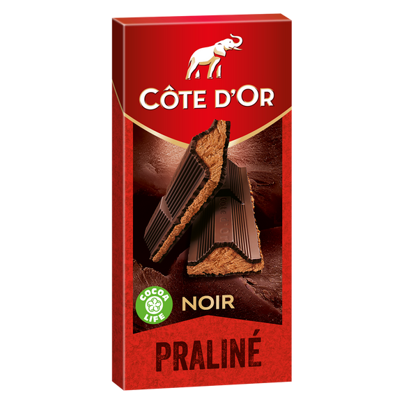Chocolat noir fourré au praliné noisettes COTE D'OR - Tablette de 200g