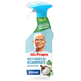 Spray javel parfumé eucalyptus MR PROPRE 800ML