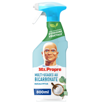 Spray javel parfumé eucalyptus MR PROPRE 800ML