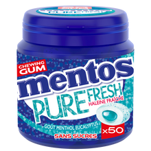 Chewing-gum MENTOS Pure Fresh Menthol Eucalyptus ss 50dg 100g