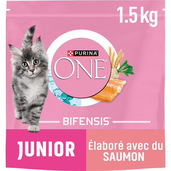Croquettes pour chat junior 1/12 mois au saumon PURINA ONE - 1,5kg