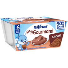 P'tit gourmand cacao dés 6 mois NESTLE 4x100g