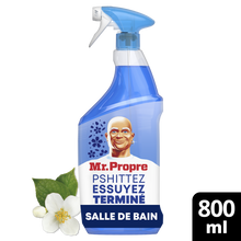 Spray produits d'entretien salle de bain Mr Propre 800ml